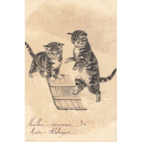 n°29881 - Carte Gaufrée - Chat - Deux chatons prenant une planche de bois, comme luge