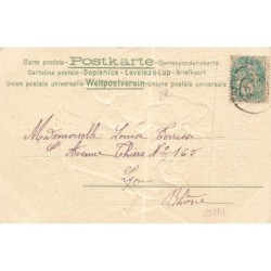 n°29881 - Carte Gaufrée - Chat - Deux chatons prenant une planche de bois, comme luge