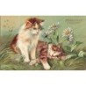 n°29883 - Illustrateur M. Boulanger -  Marguerites Innocence - Deux chats dans l'herbe