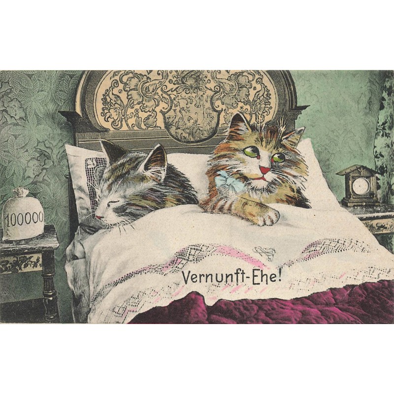 n°29884 - Chat- Vernunft-Ehe - Mariage de raison - Couple de chat dans un lit - M. Boulanger?