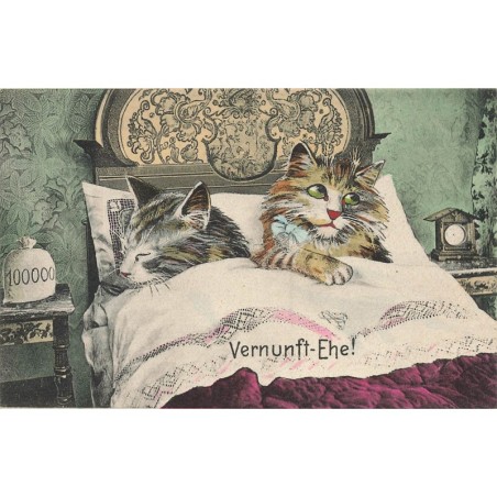 n°29884 - Chat- Vernunft-Ehe - Mariage de raison - Couple de chat dans un lit - M. Boulanger?