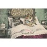 n°29884 - Chat- Vernunft-Ehe - Mariage de raison - Couple de chat dans un lit - M. Boulanger?