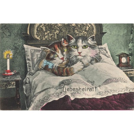 n°29885 - Chat - Liebesheirat - Mariage d'Amour - Couple de chat dans un lit - M. Boulanger ?