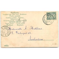 n°10378 - Carte Fantaisie - Glückliches 1903 - Fillette et cochon