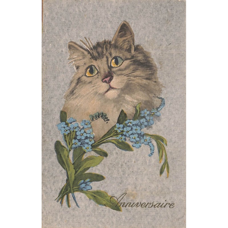 n°30041 - Anniversaire - Portrait de Chat avec du myosotis