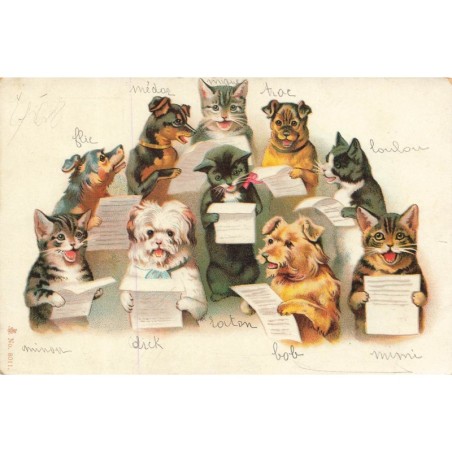 n°30099 - Fantaisie - Chorale de chiens et de chats, dont un teckel
