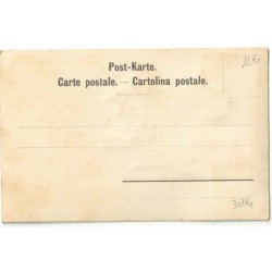 n°30104 - Carte Brodée - Paris Exposition 1900 - Souvenir du Village Suisse - Blason, Edelweis, et un châlet