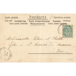 n°30183 - Nouvel An - Bonne Année 1904 - Deux anges sur une branche enneigée