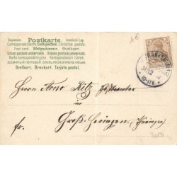 n°30190 - J.C Schmidt - Postkarte mit Tannenduft - Prosit Neujahr - Anges sur une luge