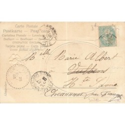n°30212 - Carte Gaufrée - Fantaisie - Portrait d'une jeune femme, avec des violettes tenant son châle