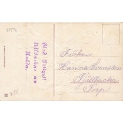 n°30244 - Carte Gaufrée - SER 279 - Enfants sur le dos de cochons, avec un teckel - Pièces en or