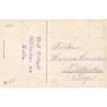 n°30244 - Carte Gaufrée - SER 279 - Enfants sur le dos de cochons, avec un teckel - Pièces en or
