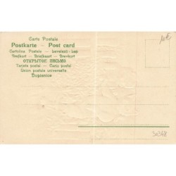 n°30348 - Carte Gaufrée - Fantaisie - Deux chats , l'un faisant la cour à l'autre