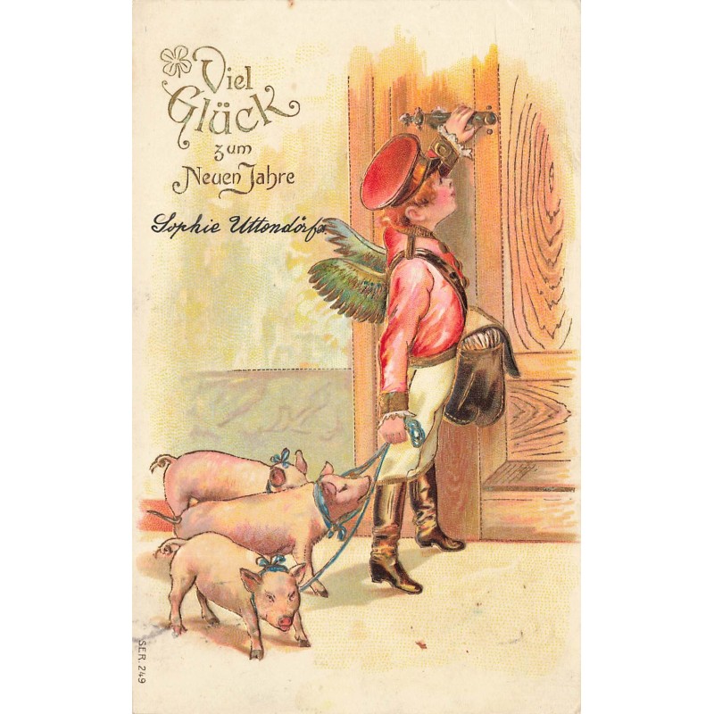 n°30360 - Carte Gaufrée - Nouvel An - SER 249 - Ange frappant à une porte, et tenant des cochons