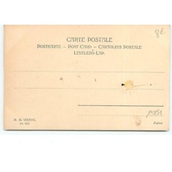 n°13851 - MM Vienne n°206 - Wichera - Fröhliche Fahrt in's Neue Jahr ! - Jeunes femmes buvant du champage