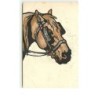 n°13853 - MM Vienne n°246 - Tête de Cheval
