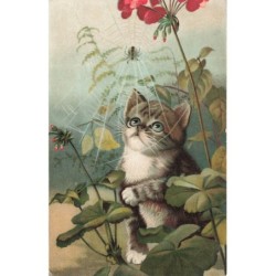 n°30397 - Animaux - Chat...