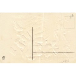 n°30435 - Carte Gaufrée - Anniversaire - Fillette lisant des lettres - Colombes