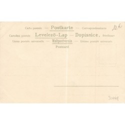 n°30441 - Carte à Paillettes - Fée - Jeune femme avec des ailes, donnant à manger àdes oiseaux