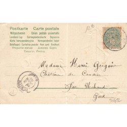 n°30492 - Carte Gaufrée - Fantaisie - Jeune femme près d'un étang avec des cygnes