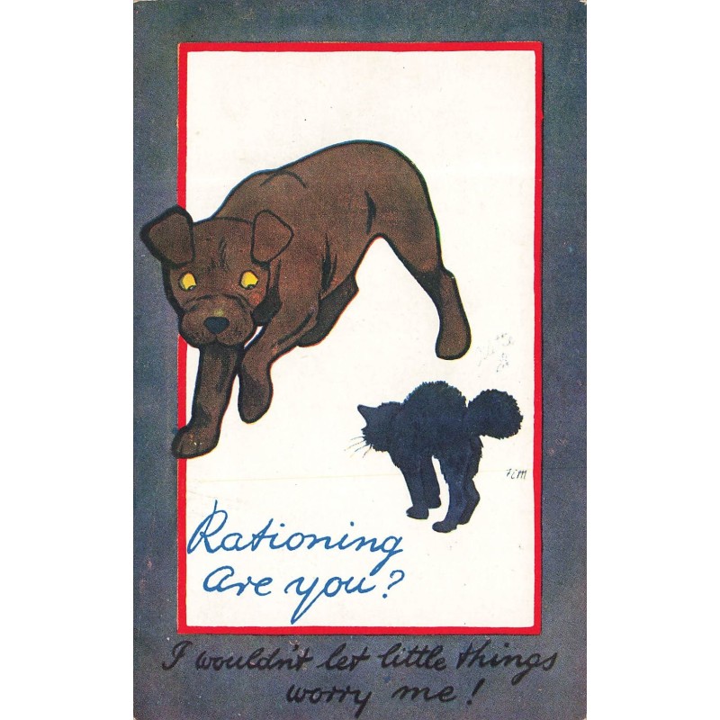 n°30499 - Chats - Rationing are you ? - Chien ayant peur d'un chat noir