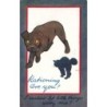 n°30499 - Chats - Rationing are you ? - Chien ayant peur d'un chat noir