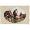 n°30534 - Animaux - Chevaux - Trois chevaux - MM Vienne n°182