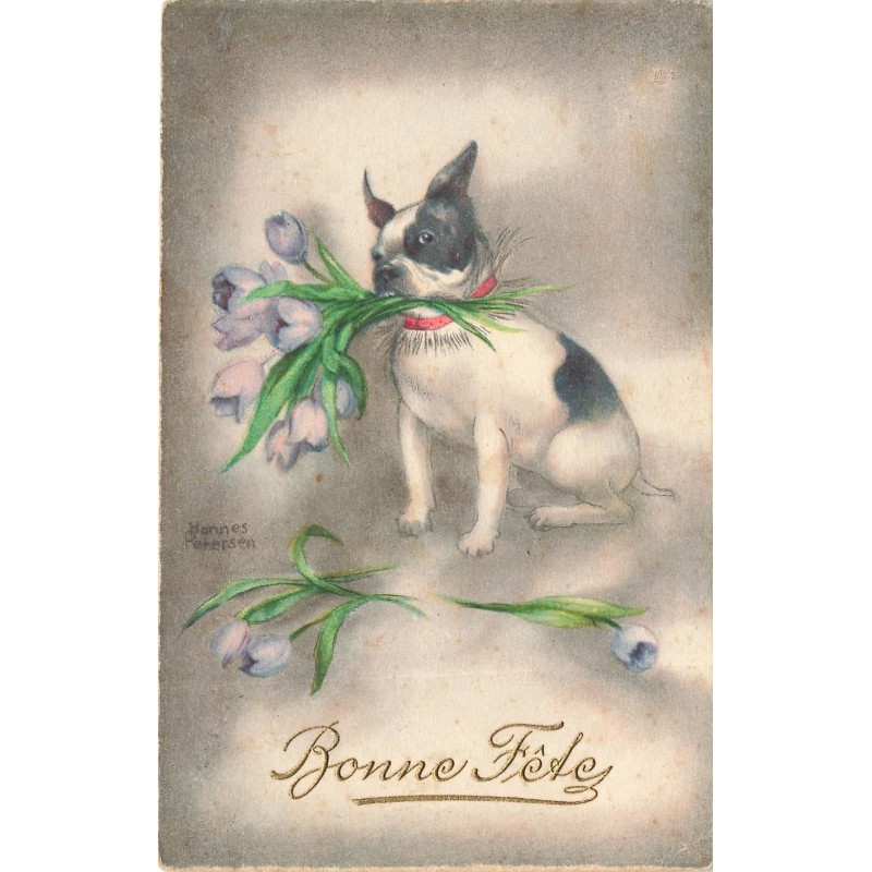 n°30554 - Hannes Petersen - Bonne Fête - Bouledogue français avec des tulipes dans sa gueule
