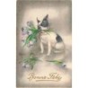 n°30554 - Hannes Petersen - Bonne Fête - Bouledogue français avec des tulipes dans sa gueule