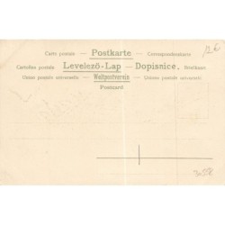 n°30558 - Carte avecPaillettes - Féé tenant un cerceau pour qu'une sauterelle saute à travers