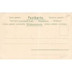 n°30597 - Fantaisie - Cupidon, chats, poules, et une cigogne - Pot de chambre