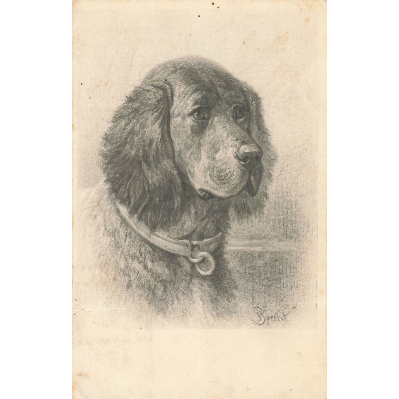 n°30612 - Illustrateur - MM Vienne 631 - Portrait d'un chien