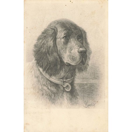n°30612 - Illustrateur - MM Vienne 631 - Portrait d'un chien