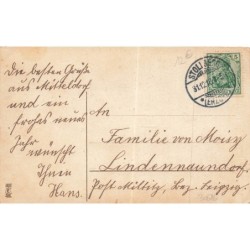 n°30616 - Carte Gaufrée - Glückliches Neujahr - Enfant dans sa maison champignon - Cochon