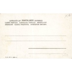 n°30669 - Prosit Neujahr - Champignons humanisés et Trèfle à 4 feuilles