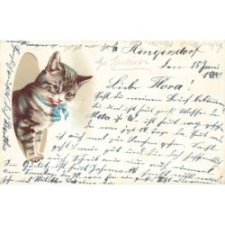 n°30695 - Carte illustrée...