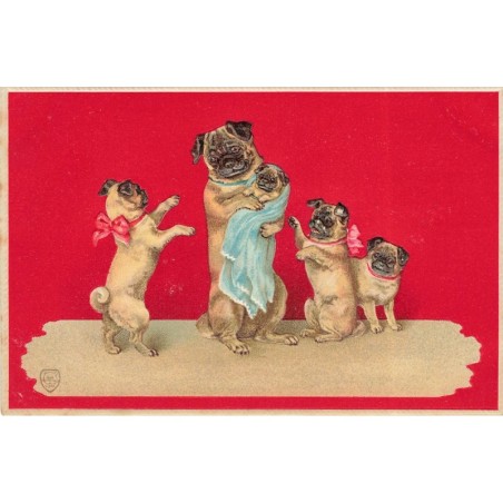 n°30696 - Carte Gaufrée - Famille de chiens Carlins (Pugs)