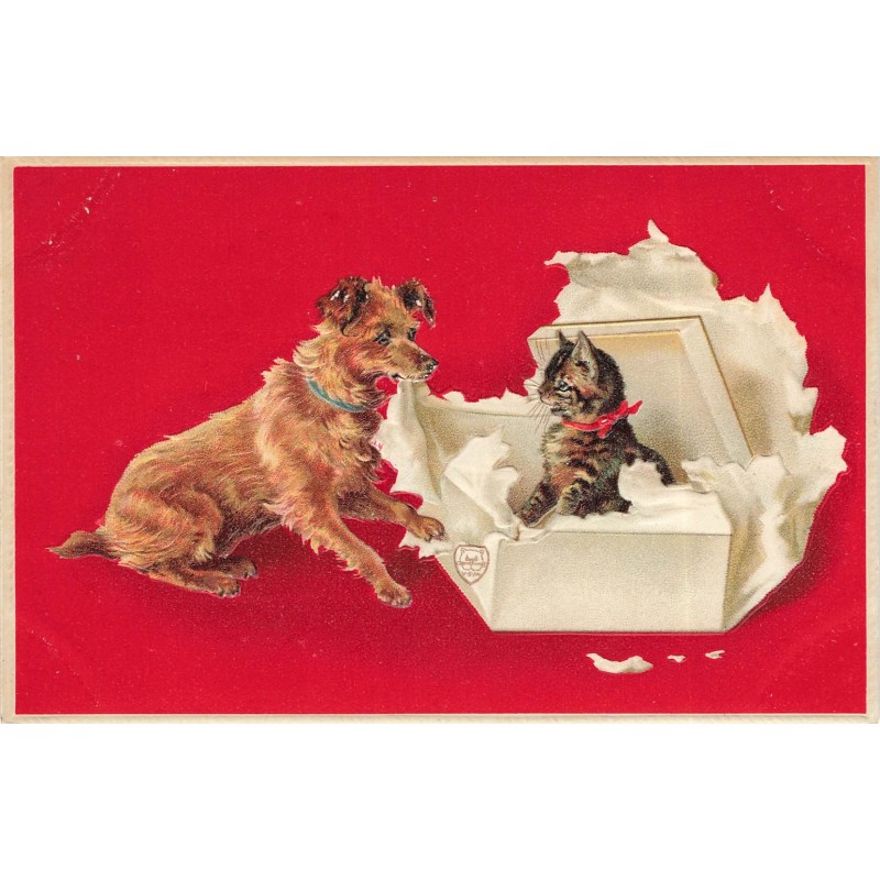 n°30697 - Carte Gaufrée - Chien et Chaton sortant d'une boîte cadeau
