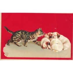 n°30698 - Carte Gaufrée -...