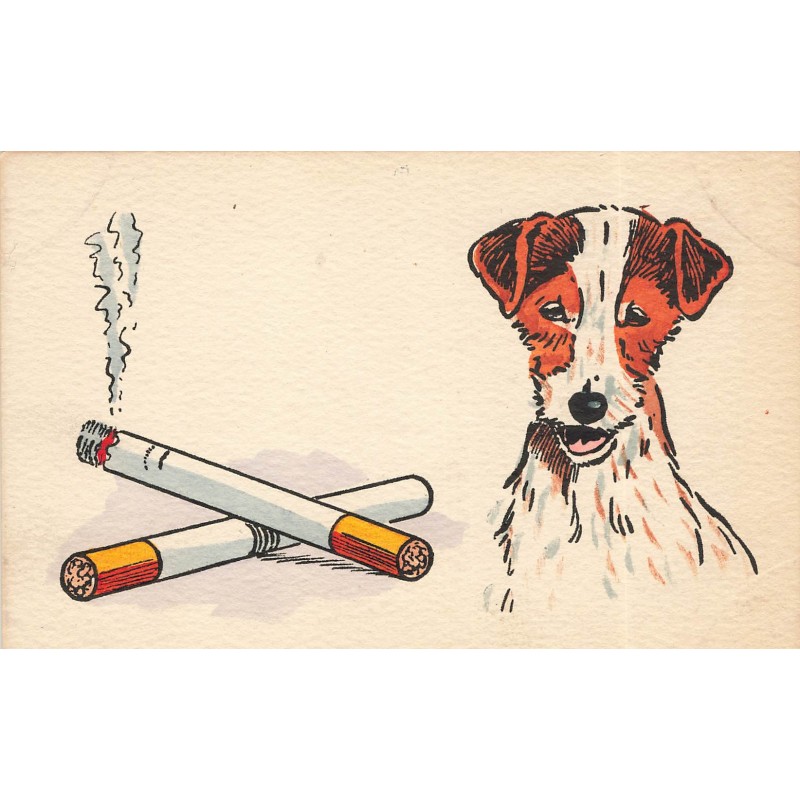 n°30703 - Chien Fox Terrier et Cigarettes allumées - éditeur MM Vienne 755