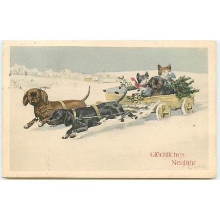 n°14026 - B.K.W.I. n°2775 - Glückliches Neujahr - Teckel - Dackel - chat