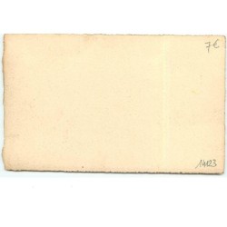 n°14123 - Va donc, eh embusqué - Poussins en tenue de militaire