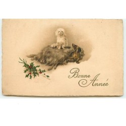 n°14134 - Bonne Année -...