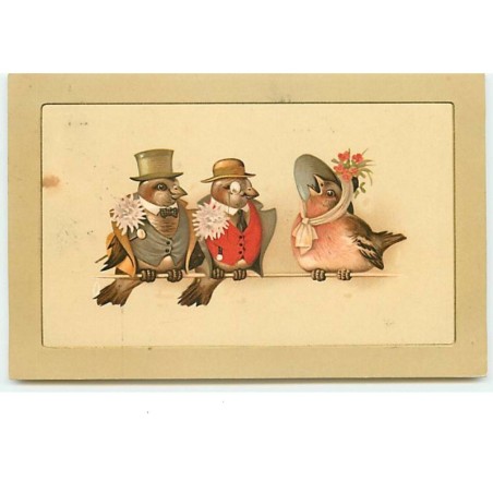 n°14198 - Carte Bordure Gaufrée - Oiseaux habillés