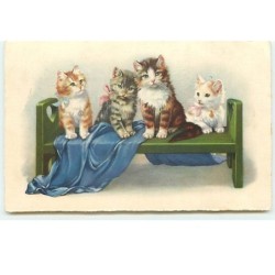 n°14246 - Chats sur un banc