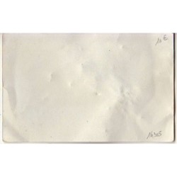 n°14305 - Carte Brodée -Souvenir de Ste Catherine - Bonnet blanc avec un ruban jaune