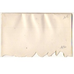n°14560 - Carte Celuloïde - Sainte Catherine - Iris