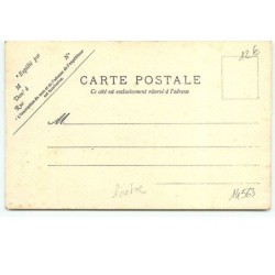 n°14563 - Carte Peinte à la Main - Loutre au bord d'un cours d'eau