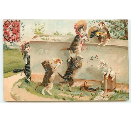 n°14568 - Maurice Boulanger - Chats cueillant des cerises