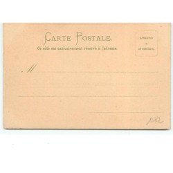 n°10462 - Carte Fantaisie - MSM - Femme